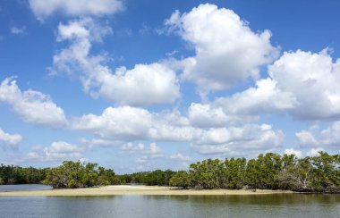 Ten Thousand Islands, Everglades, Florida clipart