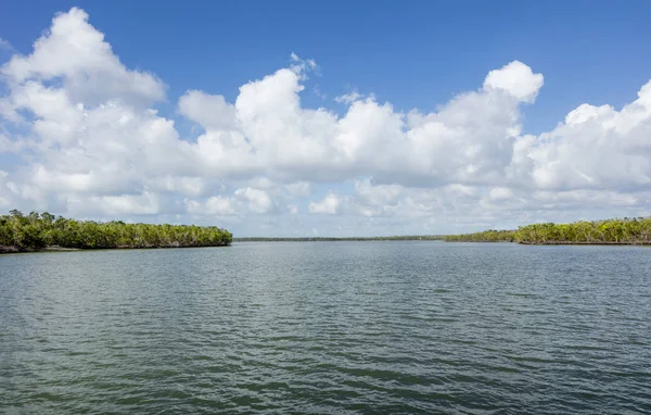 Diez mil islas, Everglades, Florida — Foto de Stock