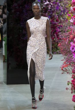 Jason Wu show - sonbahar kış 2018, New York Moda Haftası