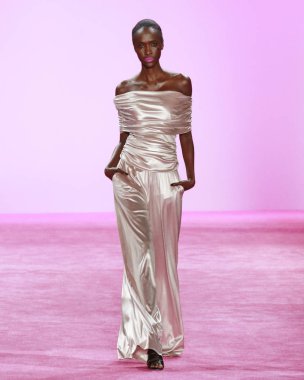 Christian Siriano Show, Runway, Güz Kış 2020, New York Fashi