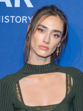 New York, New York - Şubat 05, 2020: Amanda Googe 2020 amfAR New York Galasına katılıyor