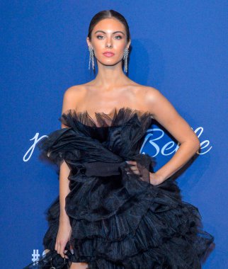 New York, New York - Şubat 05, 2020: Misafir 2020 amfAR New York Galasına katılıyor