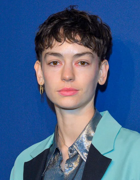 Nowy Jork Lutego 2020 Brigette Lundy Paine Uczestniczy Gali Amfar — Zdjęcie stockowe