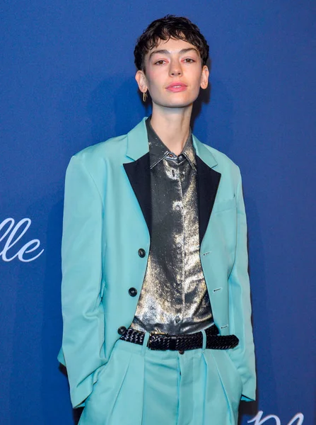 New York Feb 2020 Brigette Lundy Paine Attends 2020 Amfar — Stock Photo, Image
