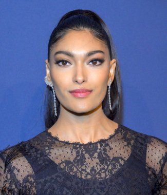 New York, New York - Şubat 05, 2020: Pritika Swarup 2020 amfAR New York Galasına katıldı