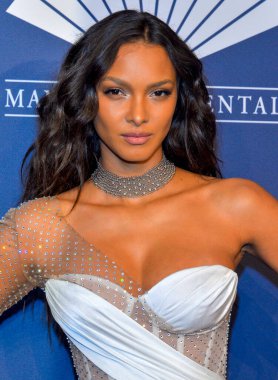 New York, New York - Şubat 05, 2020 Lais Riberio 2020 amfAR New York Galasına katıldı