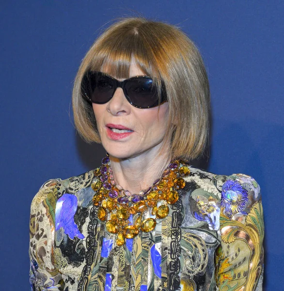 New York, New York - Şubat 05, 2020: Anna Wintour 2020 amfAR New York Galasına katılıyor