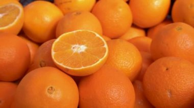 Taze portakallar hasat zamanı.