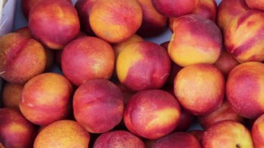 Şeftali hasat üst görünüm