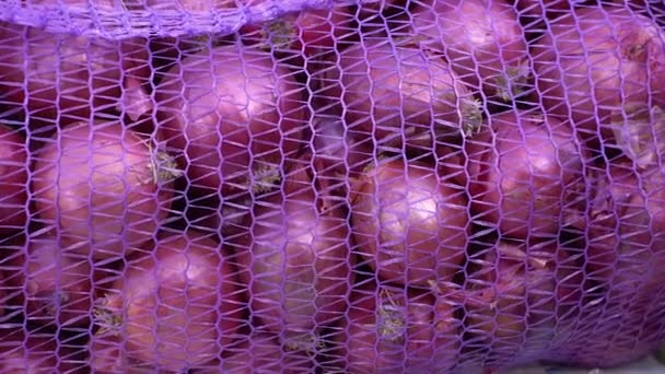 Onions Harvest Net — Stock Video