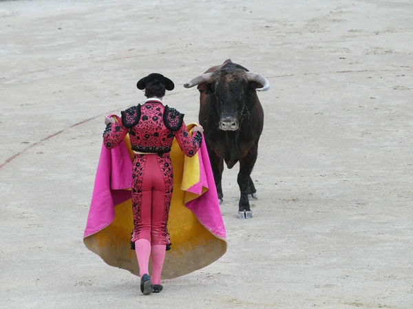 Іспанський Torero Matador Bulfighter Виконують Традиційний Класичний Бій Великій Арені — стокове фото