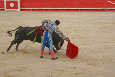İspanyol matador matador boğa güreşçisi büyük bir arenada geleneksel bir boğa güreşi sergiliyor.