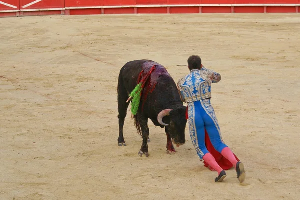 西班牙斗牛士斗牛士斗牛士在一个大竞技场表演传统的经典斗牛士 — 图库照片