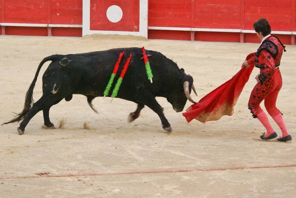 Spanska Torero Matador Tjurfäktare Utför Traditionell Klassisk Tjurfäktning Stor Arena — Stockfoto