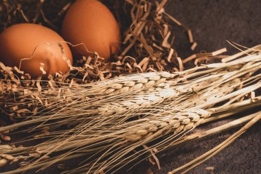 Masada buğday ve tavuk yumurtası var.
