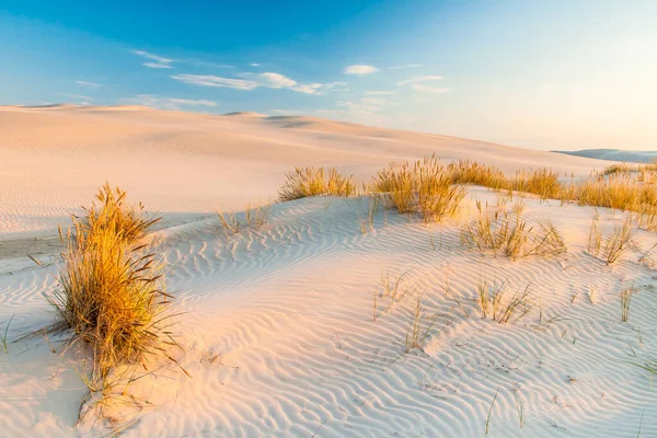 Nizza Dune Polonia — Foto Stock