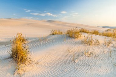 Polonya Baltık Denizi 