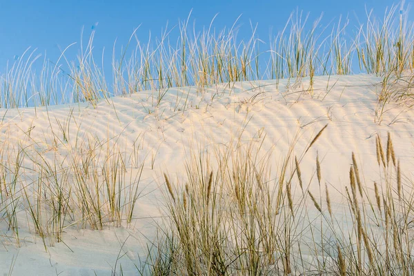 Klinge Nepalesischer Reisfelder — Stockfoto © LUKASZNOWAK #360274856