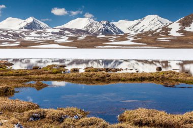 Kırgızistan 'ın Issyk Kul Bölgesinde Barskoon (Arabel) Syrts