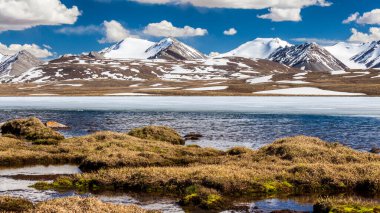 Kırgızistan 'ın Issyk Kul Bölgesinde Barskoon (Arabel) Syrts