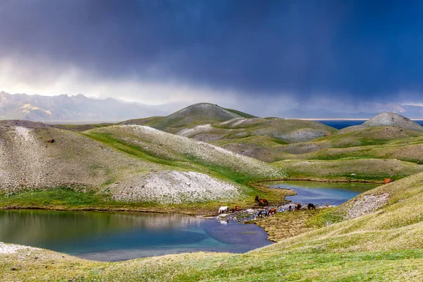 嵐の間 キルギスタンのトゥールプル湖の美しい景色 — ストック写真