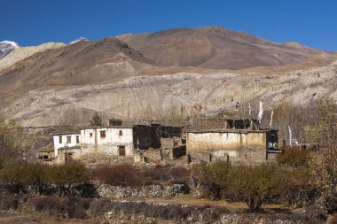 MUKTINATH, NEPAL - CIRCA NOVEMBER 2013: Muktinath köyü civarında Kasım 2013 'te.