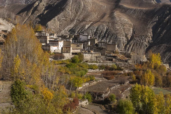 Jhong Nepal Circa Listopad 2013 Widok Wioskę Jhong Około Listopada — Zdjęcie stockowe