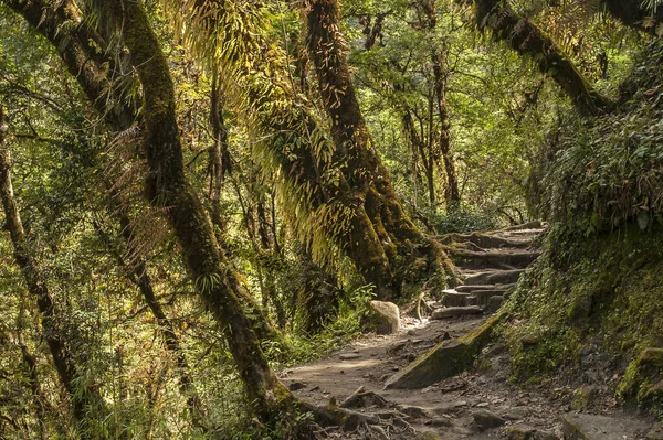 Bupsa Nepal Circa Oktober 2013 Stig Från Bupsa Till Chheplung — Stockfoto