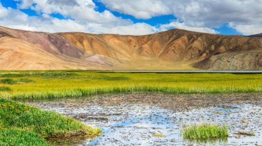 Tacikistan 'da Pamir' de Bulunkul Gölü 'nün güzel manzarası