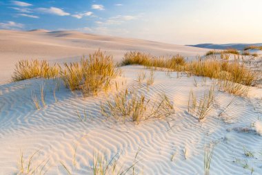 Polonya Baltık Denizi