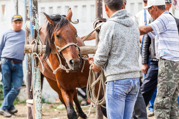 KARAKOL, KYRGYZSTAN - CIRCA JUNE 2017: Weekly Sunday animal market in Karakol city near the eastern tip of Lake Issyk-Kul in Kyrgyzstan circa June 2017 in Karakol.