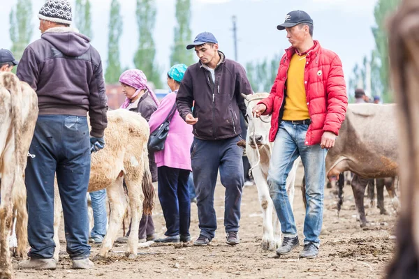 2017 Karakol Kyrgyzstan Circa June 2017 Weekly Sunday Animal Market — 스톡 사진