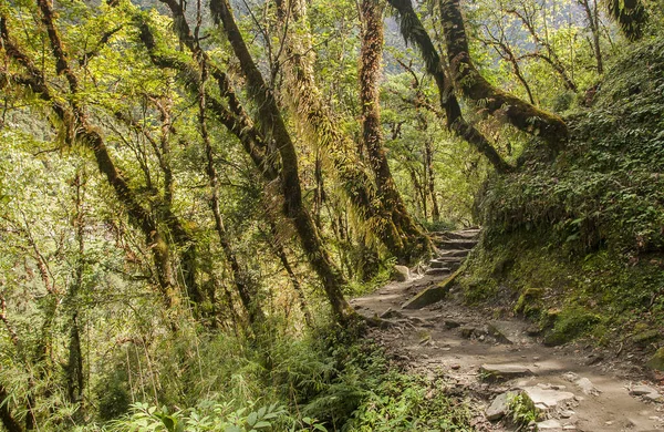 Bupsa Nepal Circa Oktober 2013 Stig Från Bupsa Till Chheplung — Stockfoto