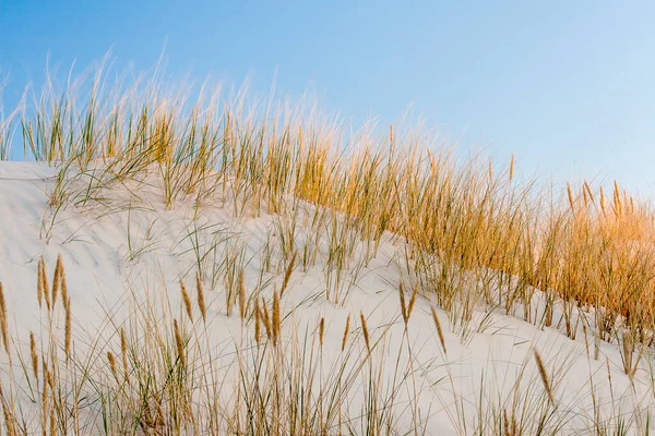 Uitzicht Stari Grad Een Klein Stadje Gelegen Het Kroatische Eiland — Stockfoto