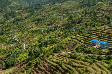 KHARIKHOLA, NEPAL - CIRCA ECTOBER 2013: Ekim 2013 'te Kharikhola' da teraslı pirinç tarlalarının manzarası.