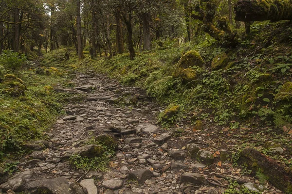 Lamjura Nepal Circa Oktober 2013 Väg Till Junbesi Oktober 2013 — Stockfoto