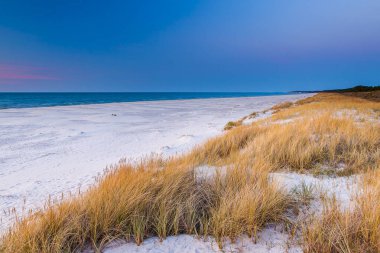 Baltık Denizi a a a a a a a a a 