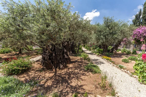Jerusalem Israel Circa May 2018 View Gethsemane Circa May 2018 — Stock Photo, Image