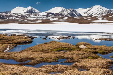 Kırgızistan 'ın Issyk Kul Bölgesinde Barskoon (Arabel) Syrts