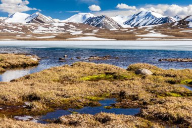 Kırgızistan 'ın Issyk Kul Bölgesinde Barskoon (Arabel) Syrts