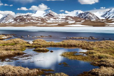 Kırgızistan 'ın Issyk Kul Bölgesinde Barskoon (Arabel) Syrts