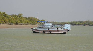 SUNDARBANS, INDIA - CIRCA NOVEMBER 2013: Sundarbans, Kasım 2013 'te Sundarbans' da dünyanın en büyük mangrov ormanı..