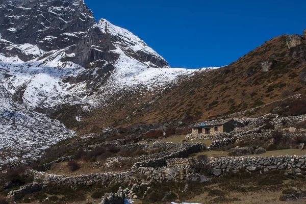 Gokyo Nepal Circa Oktober 2013 Långt Mellan Gokyo Och Machhermo — Stockfoto