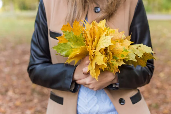 Menina bonita em jeans e casaco com folhas coloridas brilhantes andando no parque de outono — Fotografia de Stock
