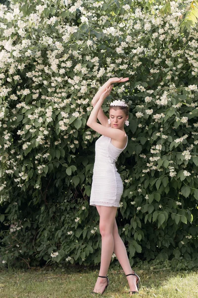 Красивая девушка невеста в коротком белом платье с короной цветов в саду ходить среди жасминовых деревьев — стоковое фото