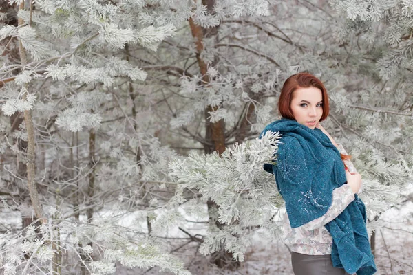 Bela menina ruiva com um cachecol em seus ombros andando na floresta de inverno de abetos e pinheiros acalmados Fotografia De Stock