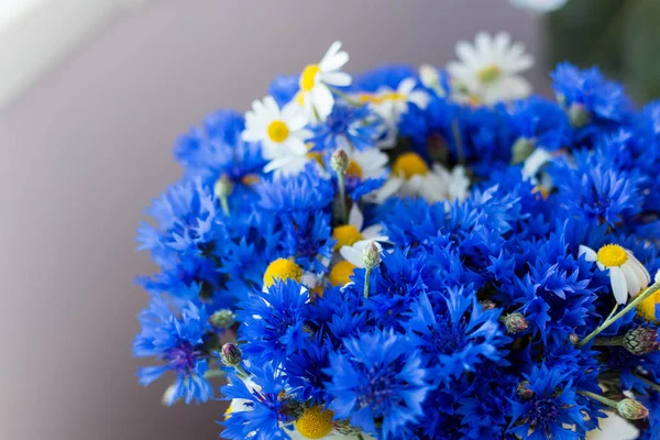 Belo grande buquê de flores selvagens de flores de milho e margaridas que estão em uma mesa em um pote Fotografias De Stock Royalty-Free