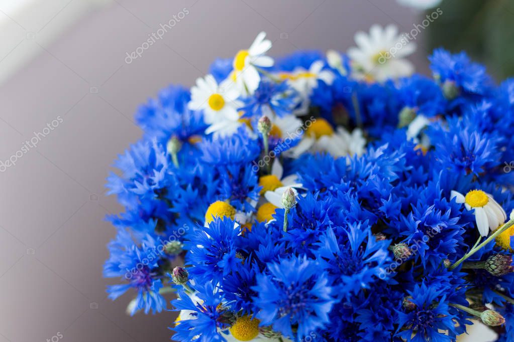 Big cornflower bouquet Beautiful big bouquet of wild flowers of
