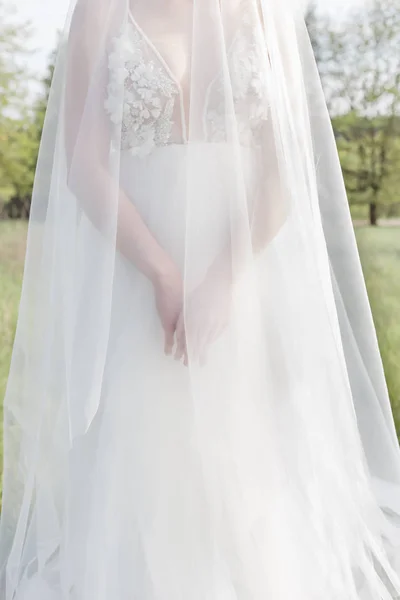 Beautiful sweet girl bride in a gentle air wedding dresses veil in a blooming spring garden in the rays of the sunlight at sunset. Fine art style — Stock Photo, Image