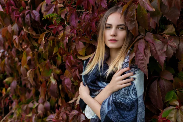 Hermosa joven en el follaje de otoño pasea por las calles de la ciudad en una tarde soleada con un abrigo y una chaqueta caliente —  Fotos de Stock